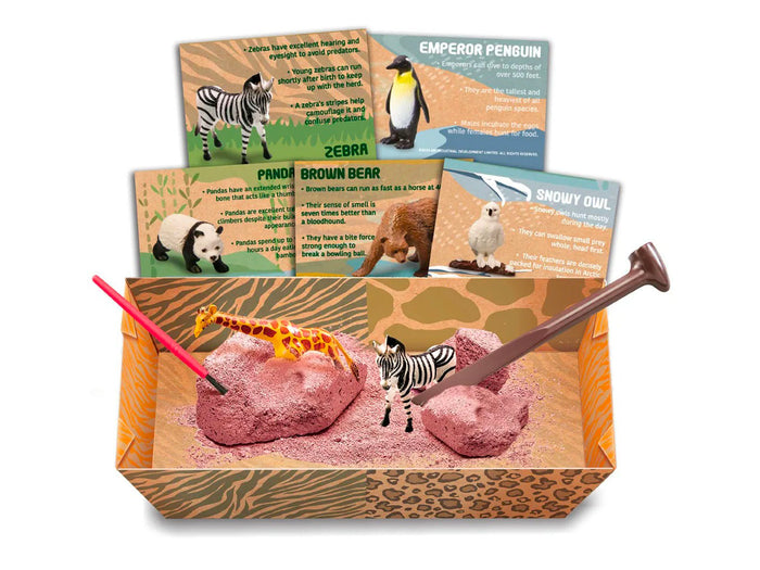 Achat Kit d'archéologie Animaux Sauvages - 4M Kidzlabs
