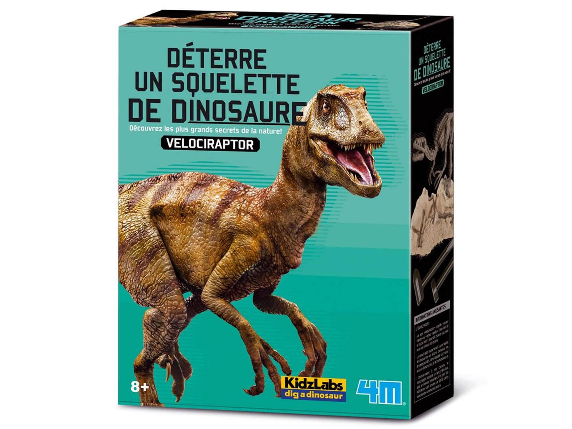Achat Kit DAM - Deterre ton dinosaure - Vélociraptor