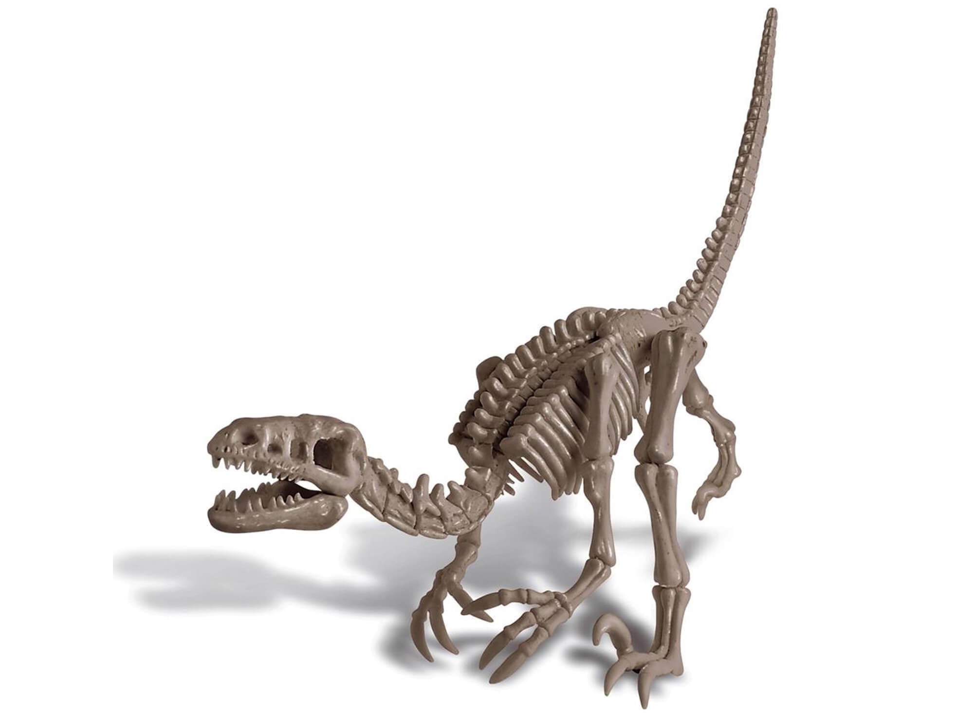 Achat Kit DAM - Deterre ton dinosaure - Vélociraptor