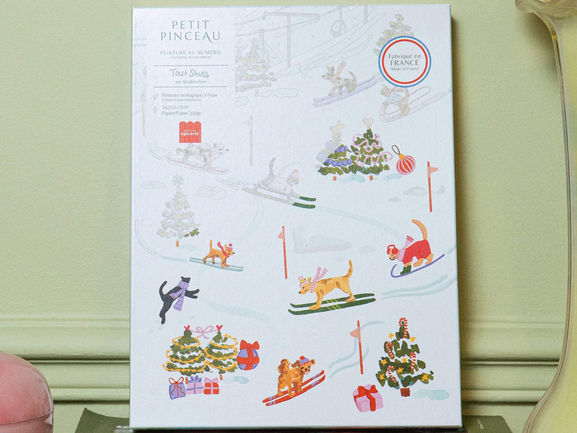Coffret peinture au numéro - Petit Pinceau - Tout schuss