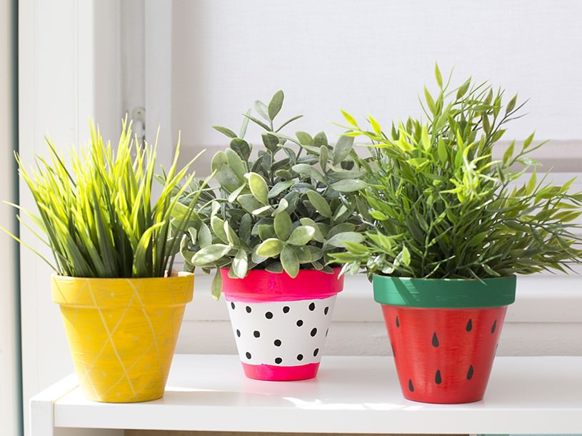 Les pots de fleurs tropicaux