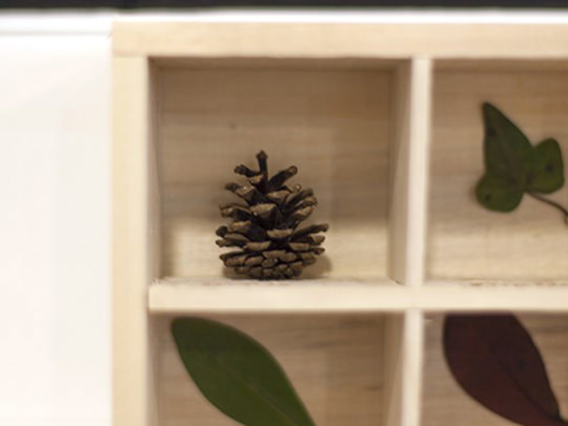 L'herbier en bois