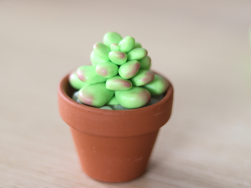 Les succulentes en pâte Fimo